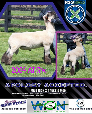 Apology Accepted